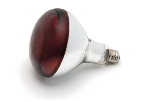 Hard glass IR lamps are available in clear and red finishes | Victory Lighting